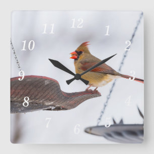 Female Cardinal Lunch Time Wall Clock