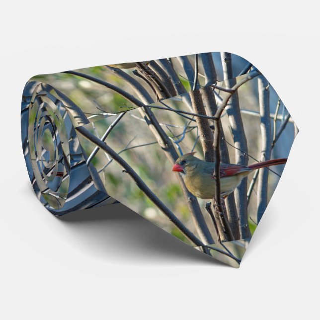 Female Cardinal Neck Tie (Rolled)