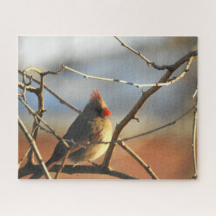 Female Cardinal Perched Jigsaw Puzzle