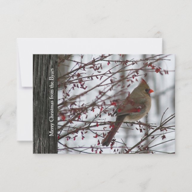 Female Cardinal Rustic Wood Holiday Christmas Card (Front)