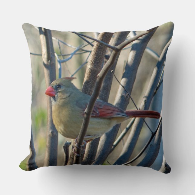 Female Cardinal Throw Pillow (Front)
