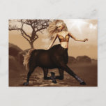 Female Centaur  Postcard