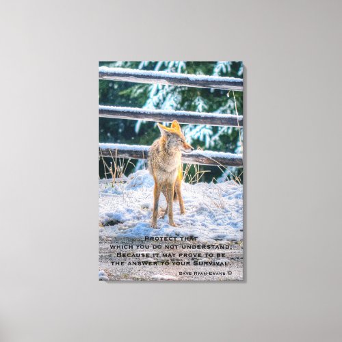 Female Coyote and Snow Wildlife Photo Art and Poem Canvas Print