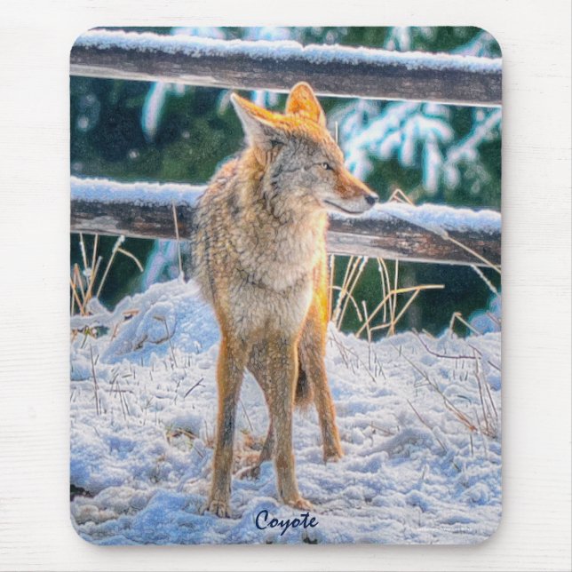 Female Coyote Hunting in Snow #Gift Mousepad (Front)
