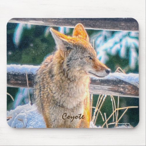 Female Coyote Hunting in Snow Gift Mousepad