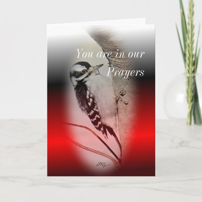 Female Downy Woodpecker- customize any occasion Card (Front)