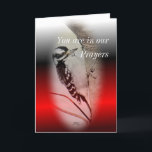 Female Downy Woodpecker- customize any occasion Card<br><div class="desc">Change the words on the front and inside of this beautiful card for any occasion you want. Check out my BIRDS SECTION to see more items featuring the cute little Downy Woodpeckers on cards,  postcards,  stamps,  mugs,  neckties,  light switch plates,  t-shirts and more gift items.</div>