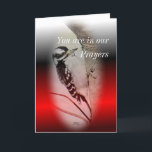 Female Downy Woodpecker- customize any occasion Card<br><div class="desc">Change the words on the front and inside of this beautiful card for any occasion you want. Check out my BIRDS SECTION to see more items featuring the cute little Downy Woodpeckers on cards,  postcards,  stamps,  mugs,  neckties,  light switch plates,  t-shirts and more gift items.</div>