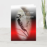 Female Downy Woodpecker- customize any occasion