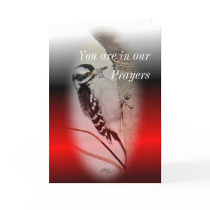 Female Downy Woodpecker- customize any occasion Card