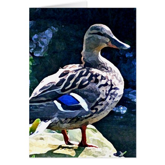Female Duck Keeping an Eye on You Cards (Front)