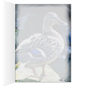Female Duck Keeping an Eye on You Cards (Inside (Right))