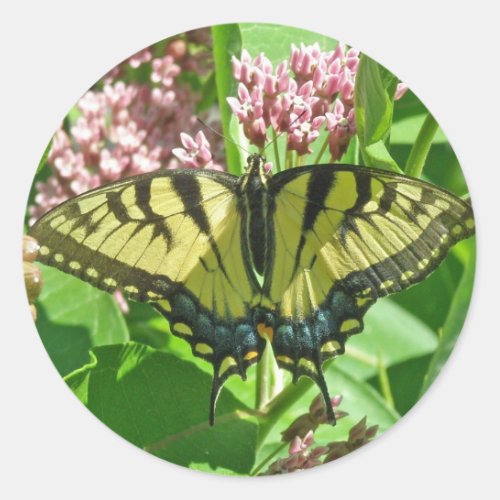 Female Eastern Tiger Swallowtail Butterfly Series Classic Round Sticker