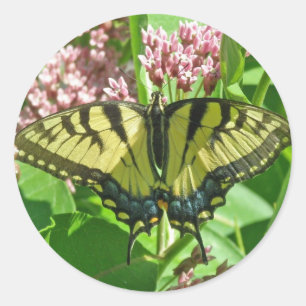 Female Eastern Tiger Swallowtail Butterfly Series Classic Round Sticker