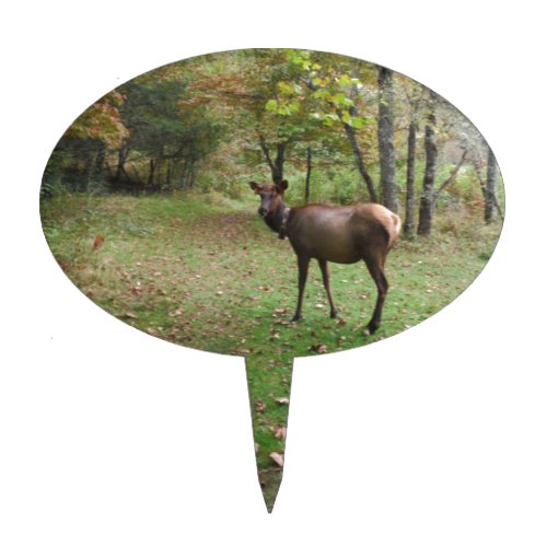 Female Elk in autumn field Cake Topper