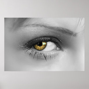 Female eye poster
