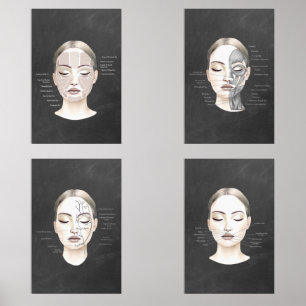 Female Face Anatomy  Wall Art Sets