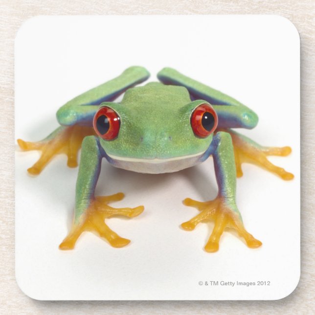 Female frog beverage coaster (Front)