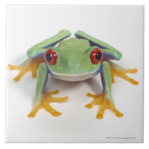 Female frog ceramic tile