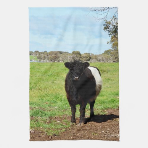 Female Galloway Cow In Country Dish Towel