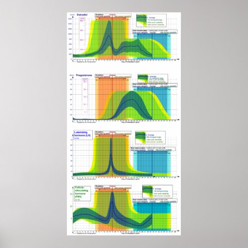 Female Hormone Ranges During the Menstrual Cycle Poster