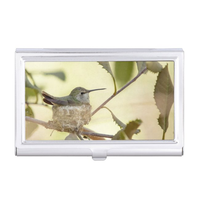 Female hummingbird on her nest business card case (Front)