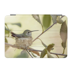 Female hummingbird on her nest iPad mini cover