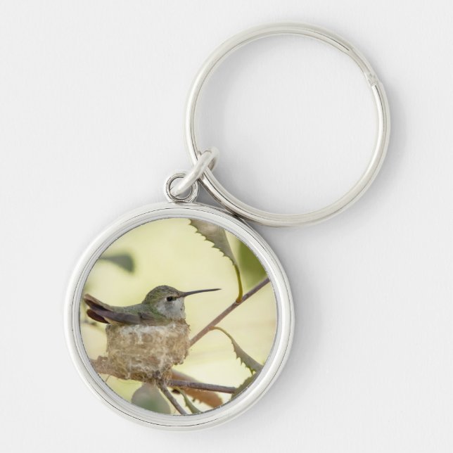 Female hummingbird on her nest keychain (Front)