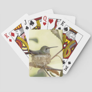 Female hummingbird on her nest poker cards