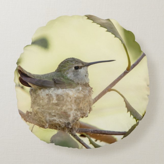 Female hummingbird on her nest round pillow (Front)