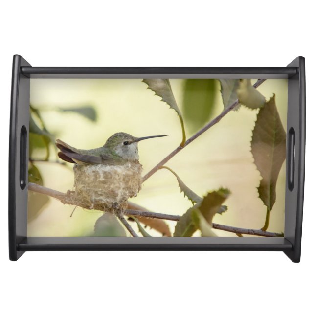 Female hummingbird on her nest serving tray (Front)