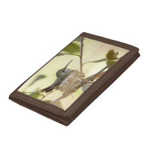 Female hummingbird on her nest tri-fold wallet
