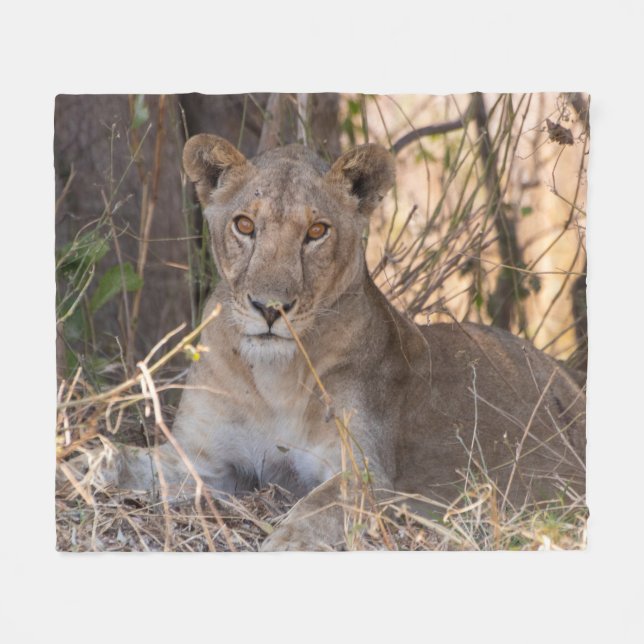 Female Lion Blanket (Front (Horizontal))