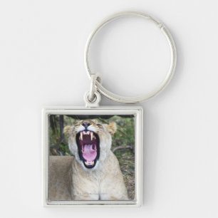 Female lion (Panthera leo), Masai Mara National Keychain