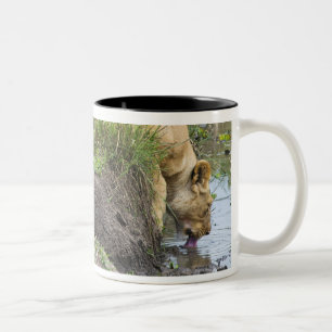 Female lion (Panthera leo), Masai Mara National Two-Tone Coffee Mug