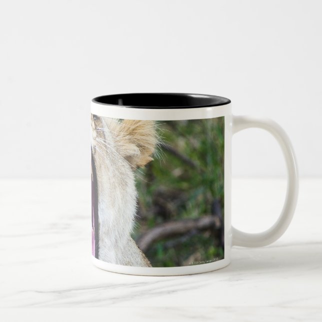 Female lion (Panthera leo), Masai Mara National Two-Tone Coffee Mug (Right)