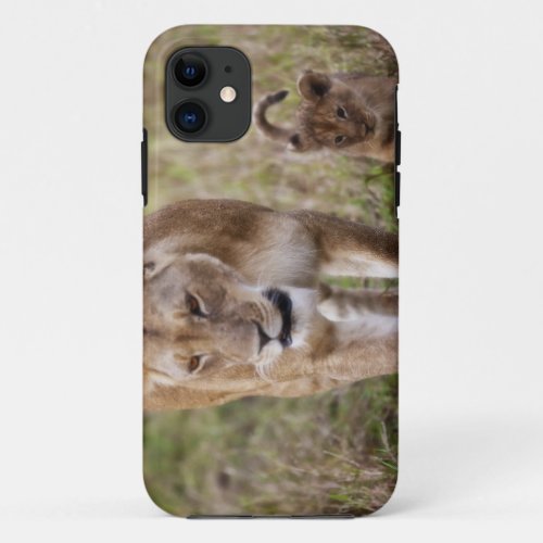 Female Lion with cub Panthera Leo as seen in iPhone 11 Case