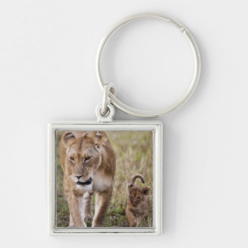Female Lion with cub Panthera Leo as seen in Keychain