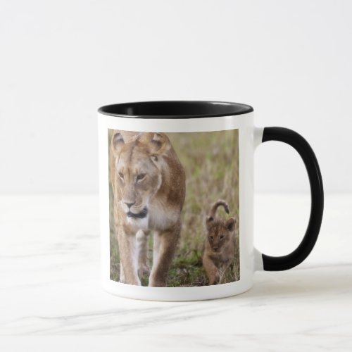 Female Lion with cub Panthera Leo as seen in Mug