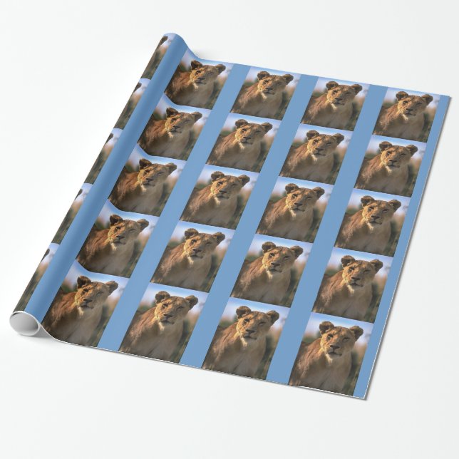 Female Lioness Christmas Wrapping Paper (Unrolled)