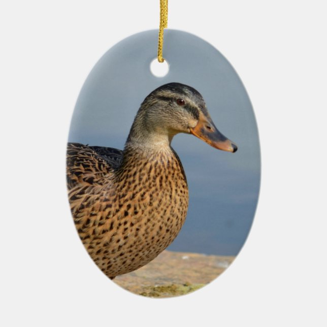 Female Mallard Duck Ceramic Ornament (Front)