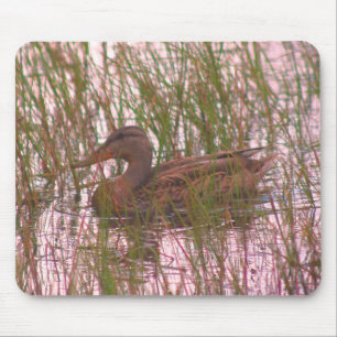 Female Mallard Duck Nature Mouse Pad
