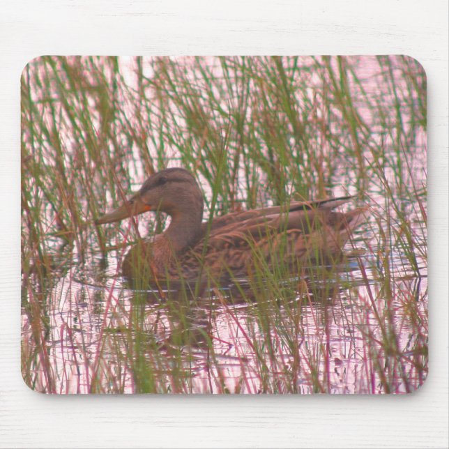 Female Mallard Duck Nature  Mouse Pad (Front)