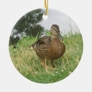 Female Mallard Duck Ornament
