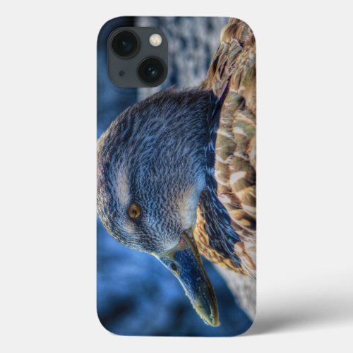Female Mallard Duck Wildlife Portrait iPhone 13 Case