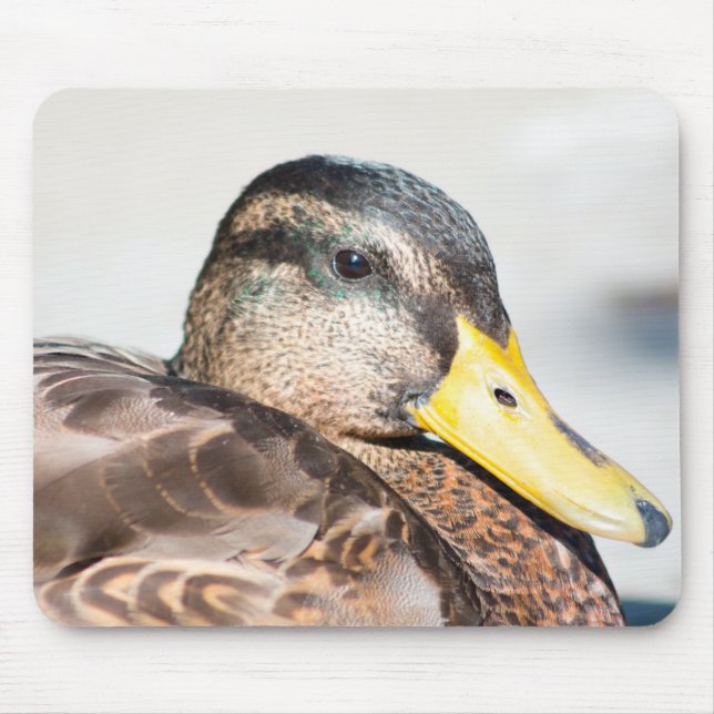 Female Mallard Mouse Pad (Front)