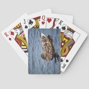 Female Mallard Poker Cards