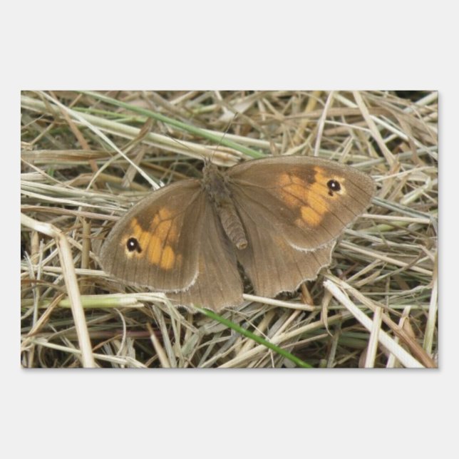 Female Meadow Brown Butterfly Yard Sign (Front)