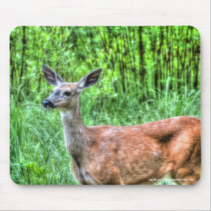 Female Mother Mule Deer on Ranch Wildlife Photo Mouse Pad