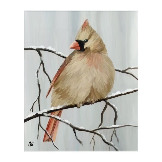 Female Northern Cardinal Bird Acrylic Print (Front)